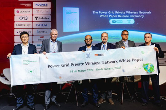 White Paper: Power Grid Private Wireless Network -- The Future of Critical Communication in the Power Sector