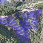 Risen Energy Secures 1.2GW HJT Module Order from China Huaneng Group, Demonstrating Industry Leadership