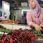 Harga cabai rawit Rp63.900/kg, telur ayam Rp29.250/kg per Selasa pagi
