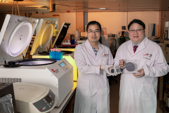 CityUHK team invents novel eDNA membrane to advance understanding of inshore fish diversity