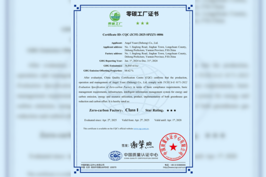 Celebrate Earth Day with Angel Yeast: Leading the Green Production Revolution with a Zero-Carbon Factory