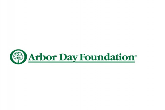 Mary Kay gandeng Arbor Day lakukan reboisasi 8.000 pohon