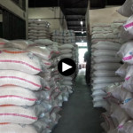 Kepala Bapanas: Stok beras Indonesia 5,1 juta ton, aman hadapi El Nino