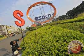 BSD City