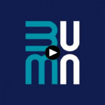 Ekonom: Efisiensi perampingan BUMN bergantung pada implementasi