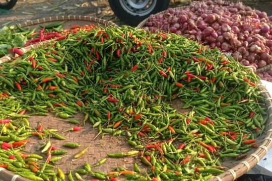 Harga komoditas cabai dan bawang di Lebak turun