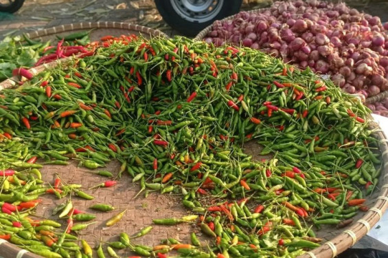 Harga komoditas cabai dan bawang di Lebak turun