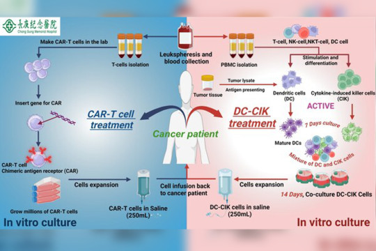 Chang Gung Memorial Hospital Unveils Cellular Therapy: A Beacon of Hope for Cancer Treatment