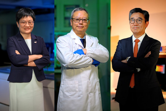 CityUHK tops Hong Kong universities in funding under the RGC's two flagship research schemes