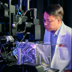 CityUHK neuroscientist crack code on brain multitasking, uncovering neural mechanisms behind cognitive bottlenecks