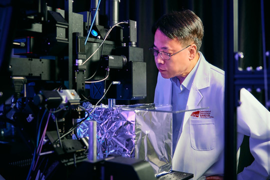 CityUHK neuroscientist crack code on brain multitasking, uncovering neural mechanisms behind cognitive bottlenecks