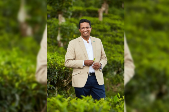 Dilmah Tea: 2026 could be the toughest year for tea growers