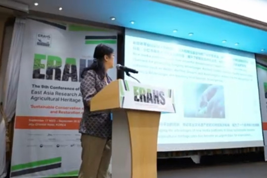 Youth Innovation Safeguards Green Heritage: 2025 World Food Forum Youth Action on Green Agri-Heritage Held in Rome