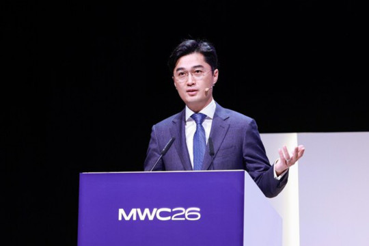 Beyond Telcos: Exploring Deterministic Paths to Business Success in the Agentic Era