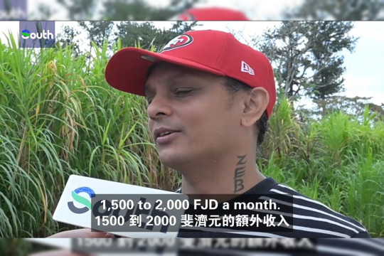 How grass from China is changing lives in Fiji