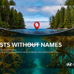 Forests Without Names: Hyundai Motor Brings the World's Hidden Sea Forests Into the Light
