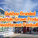Produk Unggulan Pegunungan Guizhou Tampil di Festival Panen Shanghai