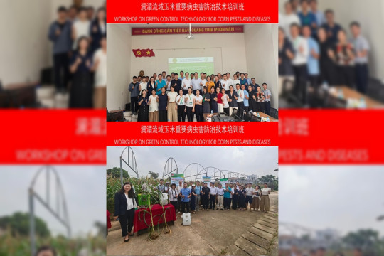 CCTV+: Workshop on Green Control Technology Successfully Held in Hanoi, Vietnam