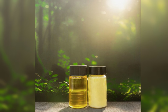 Terra Oleo Emerges from Stealth with US$3.1M in Funding and Breakthrough Energy Fellow Selection