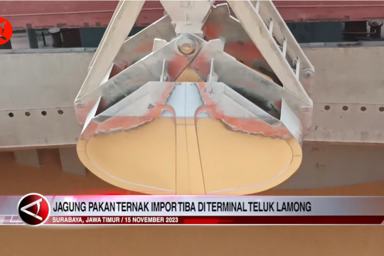 Jagung Pakan Ternak Impor Tiba di Terminal Teluk Lamong