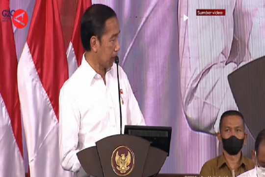 Cegah Krisis Pangan Jokowi Ajak Kadin Tanam Sorgum di NTT