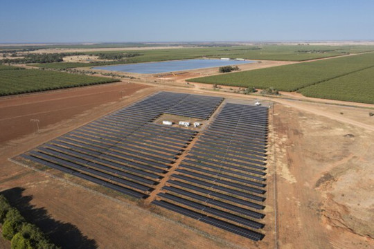 Trinasolar Powers 6MW Agribusiness Solar Project in Australia