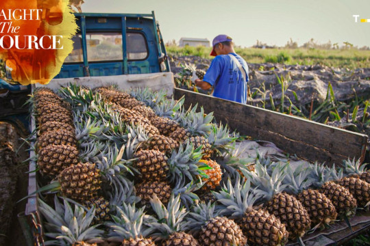 "Straight to the Source" Kembali Hadir, Tampilkan Kekayaan Budaya Kuliner Taiwan