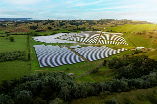 Trinasolar and Lodestone Power Up Newest Agrivoltaics Solar Project in New Zealand