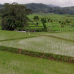 Peak Energy Celebrates Two-Year Milestone with Over 1.5 GW in Projects Across APAC