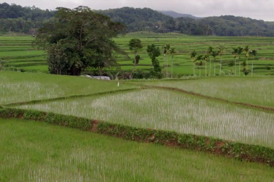 Peak Energy Celebrates Two-Year Milestone with Over 1.5 GW in Projects Across APAC