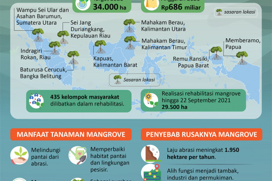 Mengejar Target Rehabilitasi Mangrove