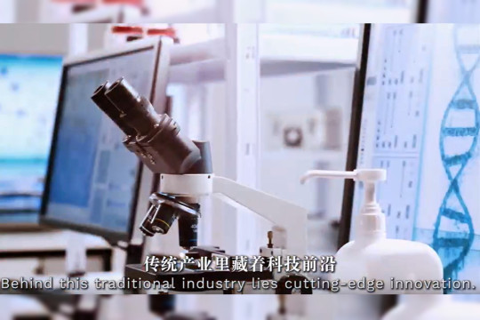 Modern agriculture emerges as high-tech industry: Chairman of Wens Foodstuff Group