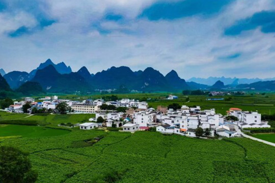 Xinhua Silk Road: "AI+mulberry silk" paves new road to prosperity in S China's Guangxi