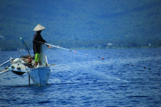 Pengamat: BUMN Perikanan tingkatkan kolaborasi dengan nelayan lokal