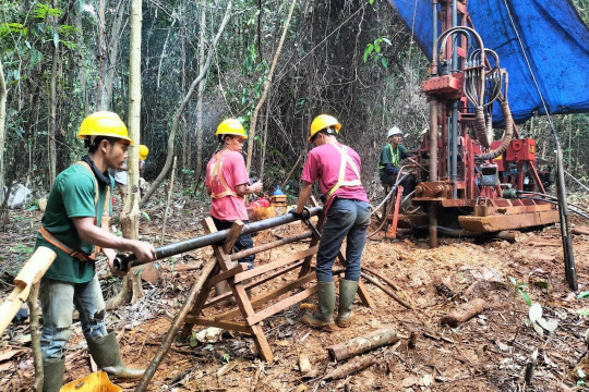 Penjualan NICL melonjak 365,68 persen di kuartal I 2025