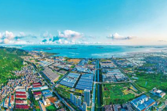 Hasil Berlimpah dari Proyek “Dua Negara, Dua Taman”, Bunga Persahabatan yang Mekar