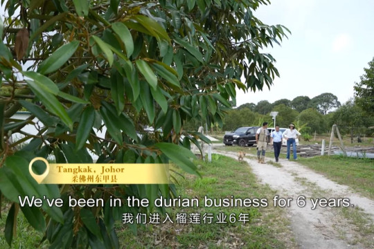 Perdana Menteri Malaysia Anwar bin Ibrahim Dorong Hubungan yang Lebih Erat dengan Tiongkok guna Menjaga Ekonomi ASEAN