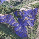 Risen Energy Raih Pesanan Modul HJT 1,2 GW dari China Huaneng Group, Memperkuat Posisinya sebagai Pemimpin Industri