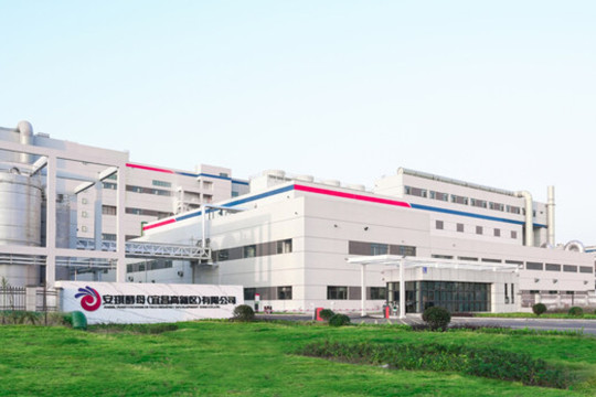 Angel Yeast starts Operating New 11,000-Ton Yeast Protein Production Line to Meet Global Demand