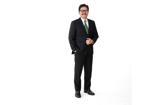 PT SMI President Director: Asia-Pacific Needs Stronger DFIs