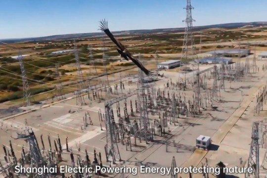 Peringati Hari Keanekaragaman Hayati Sedunia, Shanghai Electric Perkuat Praktik Ramah Lingkungan di Berbagai Proyek