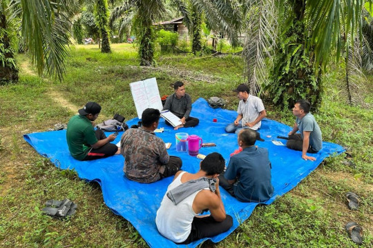 Musim Mas Rampungkan Program Lima Tahun untuk Petani Swadaya di Aceh, Perkuat Mata Pencaharian Petani Sawit
