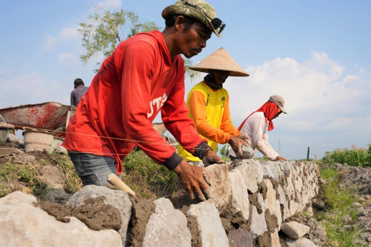 Semen Indonesia akan bagikan dividen Rp648,75 miliar