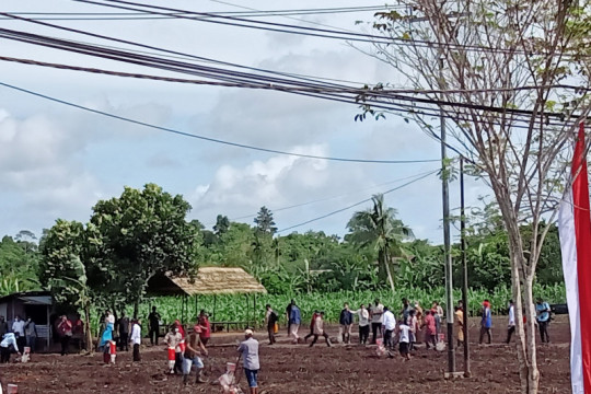 Presiden Menanam Jagung Bersama Petani di Kabupaten Sorong