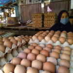 Harga cabai rawit Rp45.000/kg, telur ayam Rp26.000/kg per Jumat pagi
