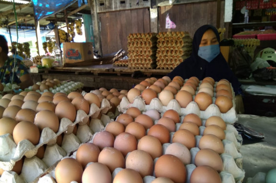 Harga cabai rawit Rp45.000/kg, telur ayam Rp26.000/kg per Jumat pagi