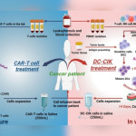 Chang Gung Memorial Hospital Luncurkan Terapi Sel: Harapan Baru untuk Pengobatan Kanker