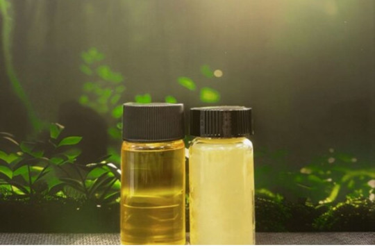 Terra Oleo Beralih dari "Stealth Mode" Setelah Meraih Pendanaan US$3,1 juta dan Bergabung Breakthrough Energy Fellow