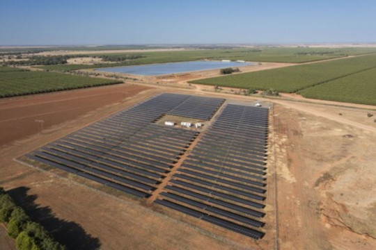 Trinasolar Dukung Proyek PLTS Agrobisnis 6 MW di Australia