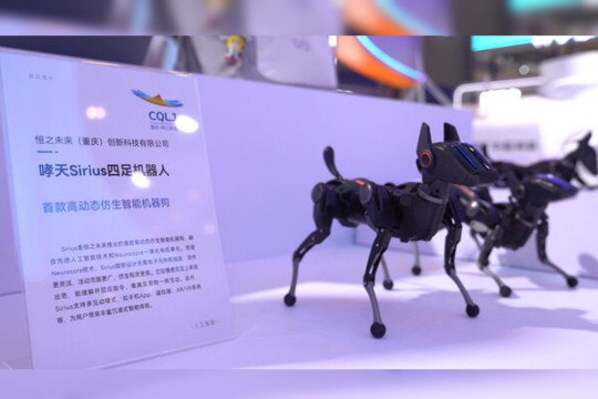 Enterprises from 39 Countries Join WCIFIT, with Thailand, Hong Kong, and Sichuan in the Spotlight